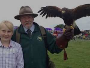 Blurb Falconry