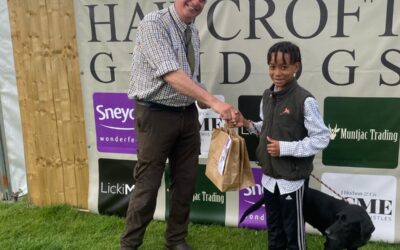 Gundog Scurry Results from the Kelmarsh Show 2024