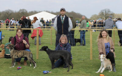 Terrier & Lurcher Results from the Kelmarsh Show 2023