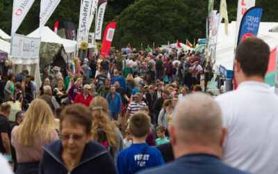 Have you received yours yet?